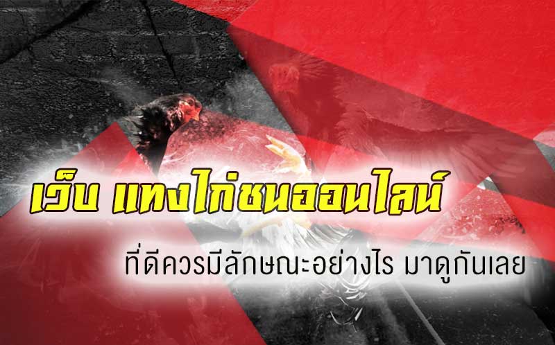 คุณสมบัติของเว็บแทงไก่ชนออนไลน์ที่ดีและน่าเชื่อถือ